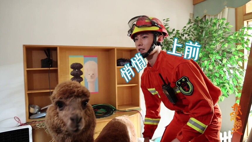 《我的人间烟火》花絮：“羊”“洋”相会的一天