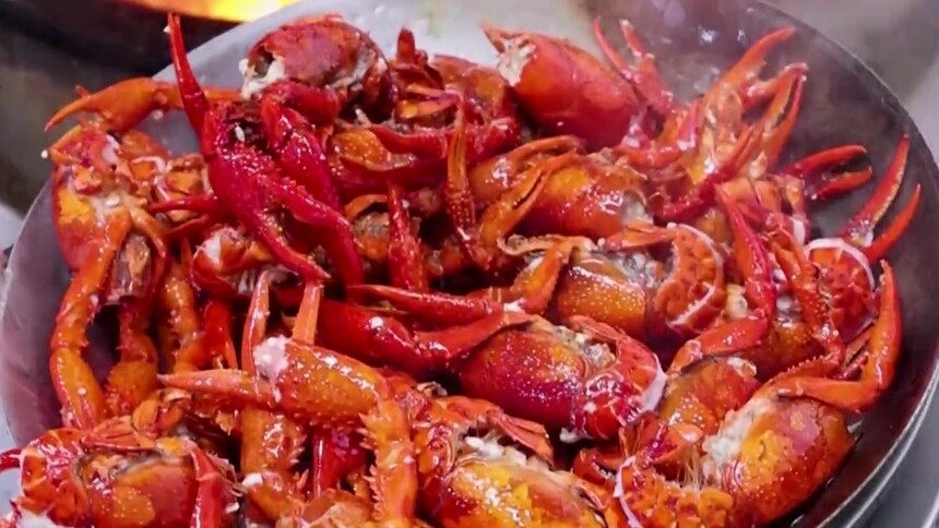 “湘”当有味：南县：体验儿时钓虾趣味 满满一桶载兴而归