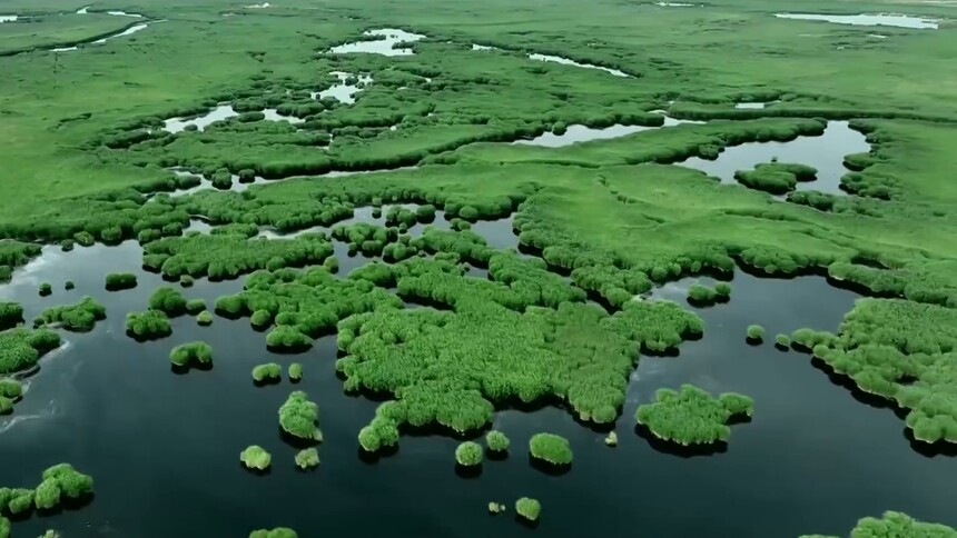 中国最大内陆淡水湖苇浪翻滚如碧涛