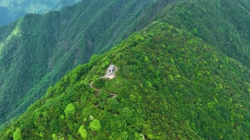 乡村20230721期：听翠林竹风 赏高山巍峨