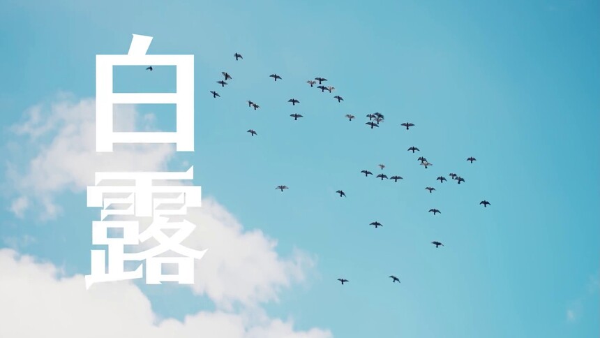 宋韵二十四节气—白露