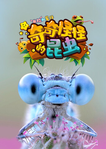 米拉和星仔：奇奇怪怪的昆虫