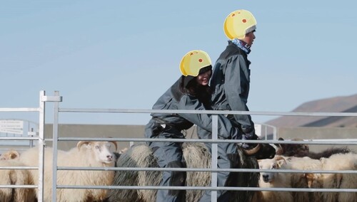重量压制！辛芷蕾胡先煦骑上“羊摩托”？