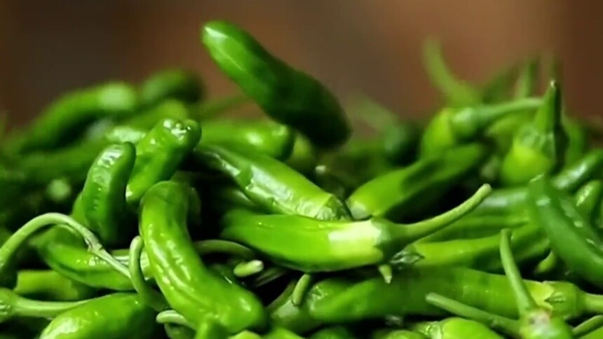 湘菜馫八方：佳肴源自好食材