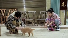 何洁黄新淳的玩闹日常