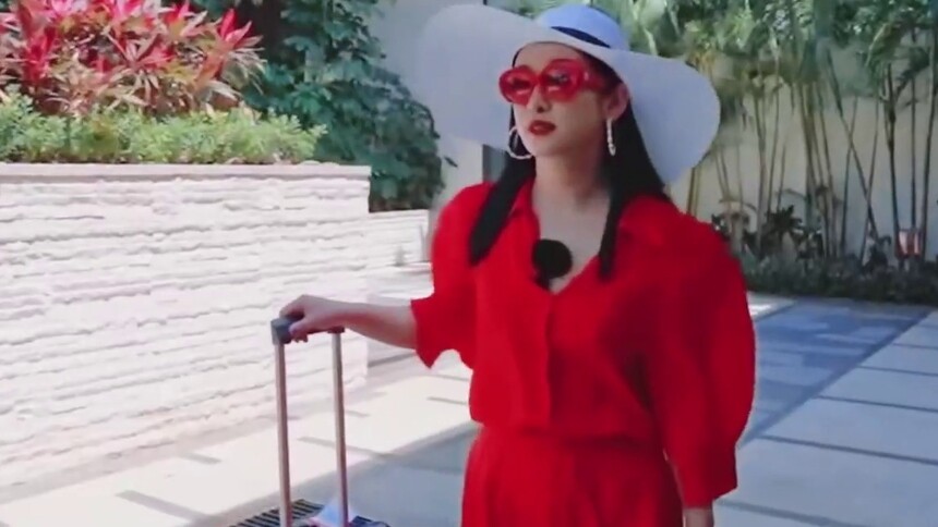 喜欢霸总的秦海璐终成霸总