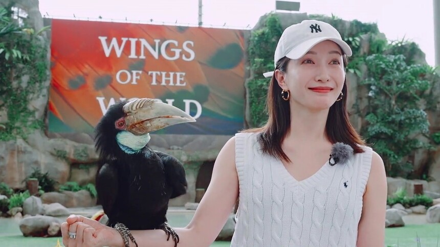 突然不会笑了？江疏影被犀鸟吓成表情包