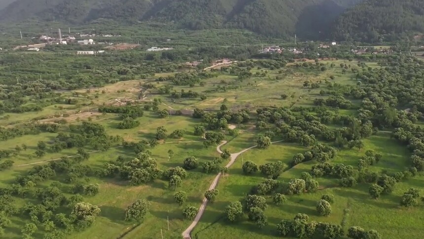 西安：乡村田园成青年创业乐园