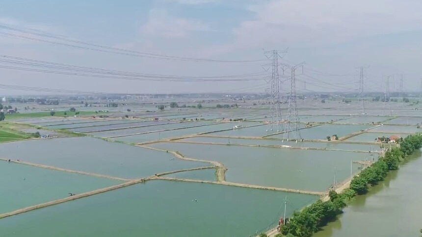 江苏扬州：全省首个整县零计划停电示范区建成