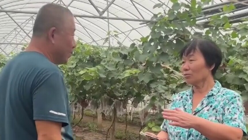 人大代表履职故事 Vlog｜杨宝玲：振兴乡村“老代表”的新思路