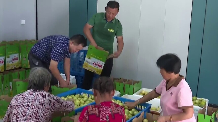 果香四溢漫金秋