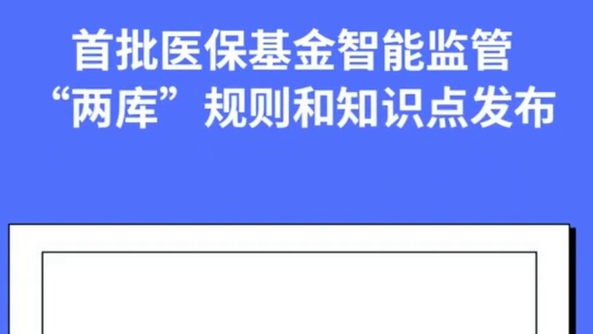 首批医保基金智能监管“两库”规则和知识点发布