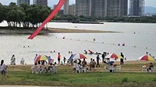 江西南昌：赣江“两滩七湾”天然泳场正式开放