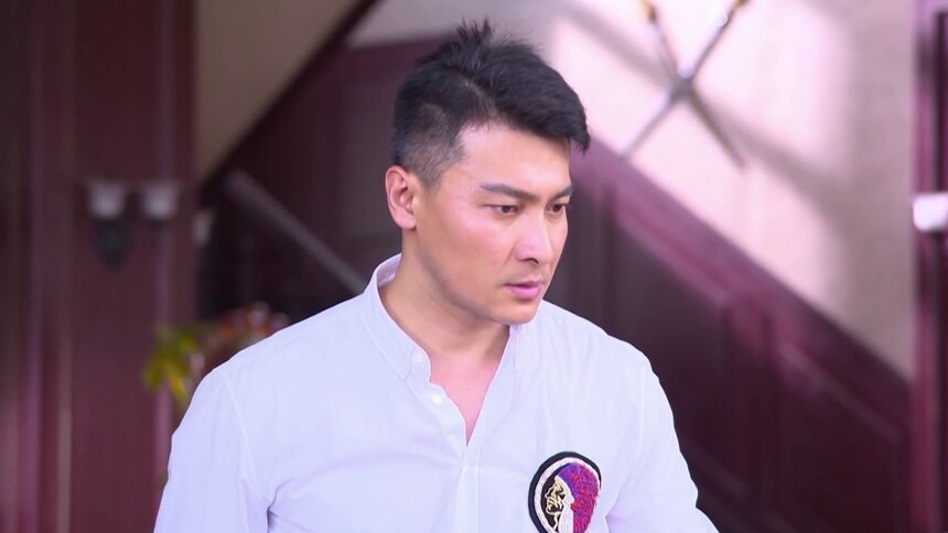 虎胆神鹰 第13集