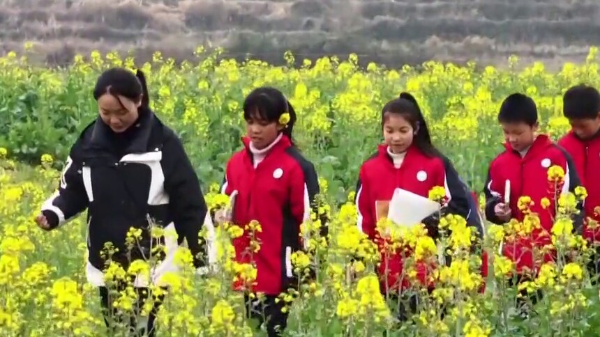 人民的代表 李柏霖：以诗为光 照亮乡村教育之路