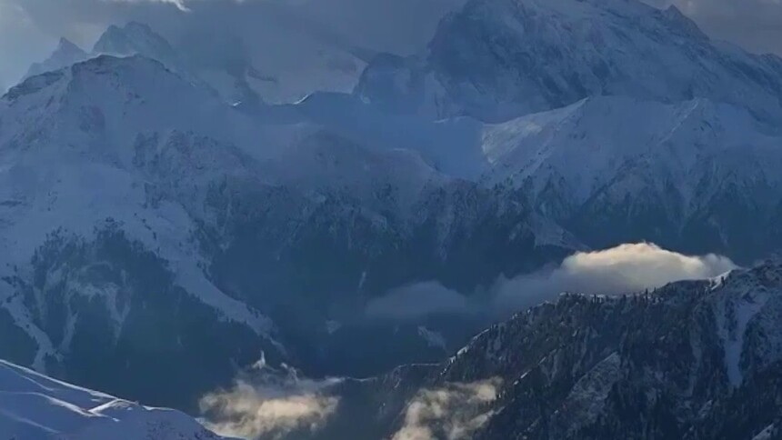 雪山映林海 新疆特克斯远冬牧场藏苍茫之美