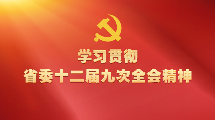 学习贯彻省委十二届九次全会精神