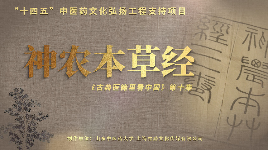 古典医籍里看中国 第10集：神农本草经——中医本草“开山之作”