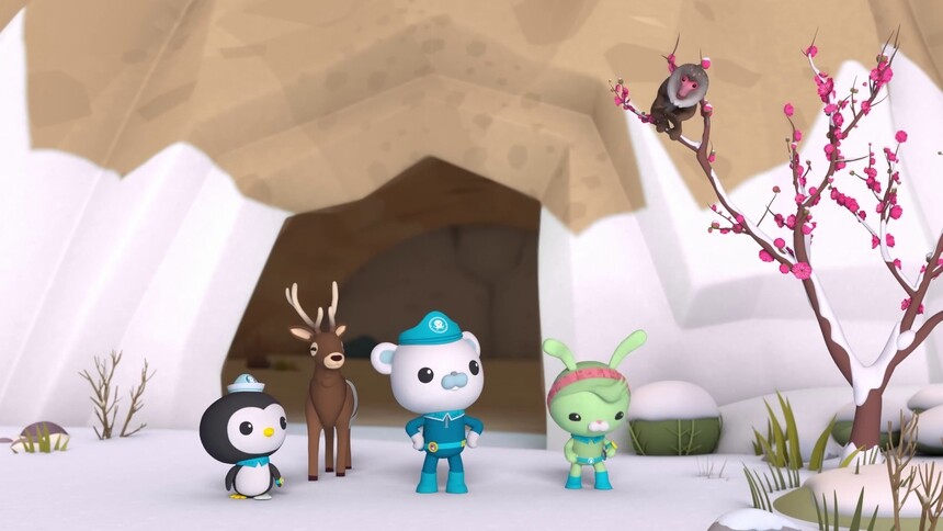 雪后的黄山真是太美了！皮医生又一次救了梅花鹿小文