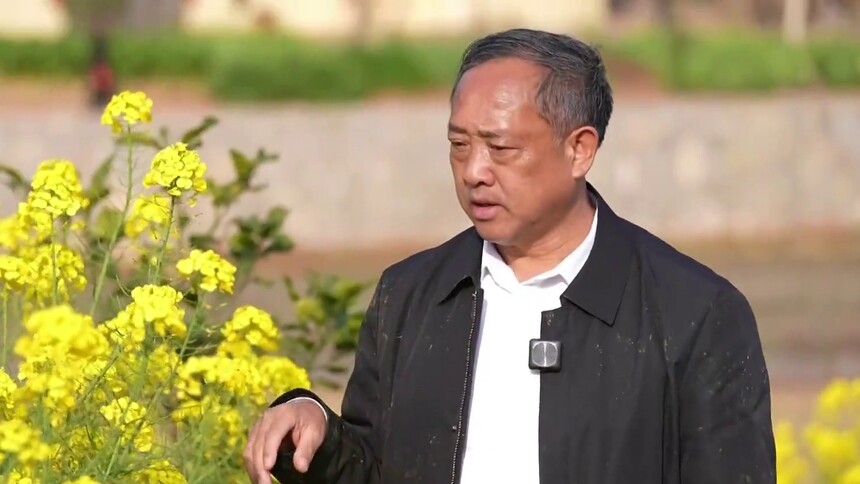 弄潮儿向涛头立·贯彻落实全国两会精神 沈昌健：加大油菜种业创新 为乡村振兴注入科技动能