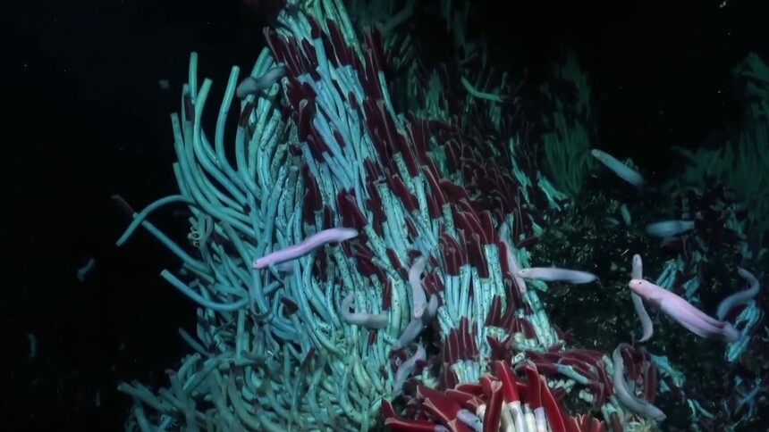 什么是深海呢？