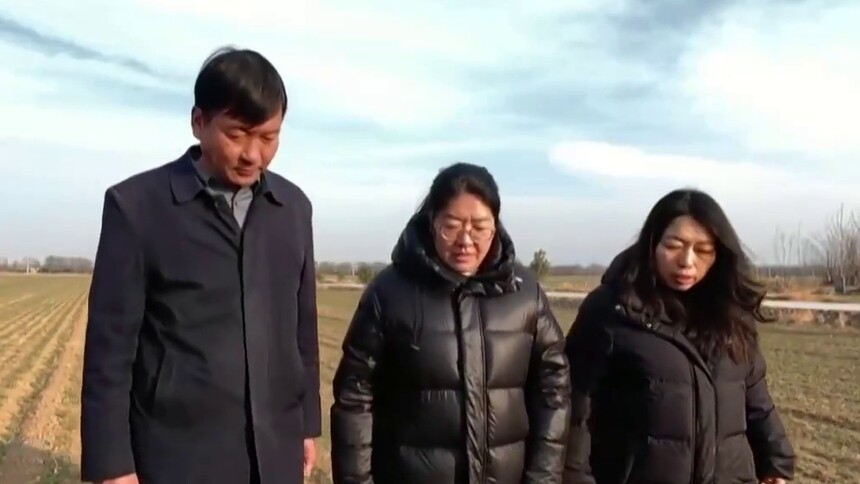 山西河津：寒潮来袭护麦田 田间支招保越冬