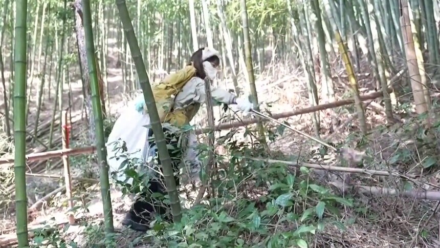 陈晨：步履不停 山野“无痕” “眼里容不得山上有垃圾”