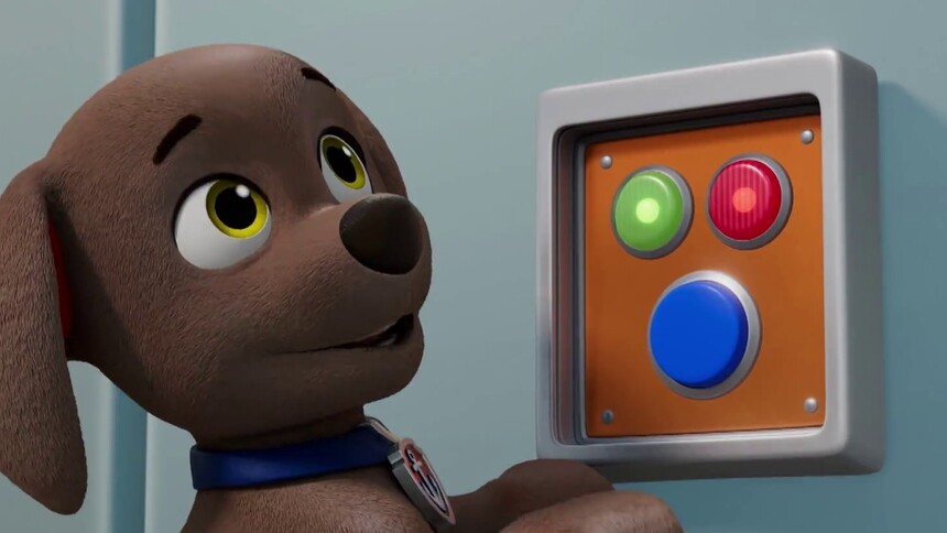 毛毛的大飞机清洗了 灰灰也顺带洗干净了