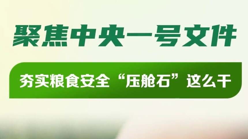 聚焦中央一号文件 夯实粮食安全“压舱石”这么干
