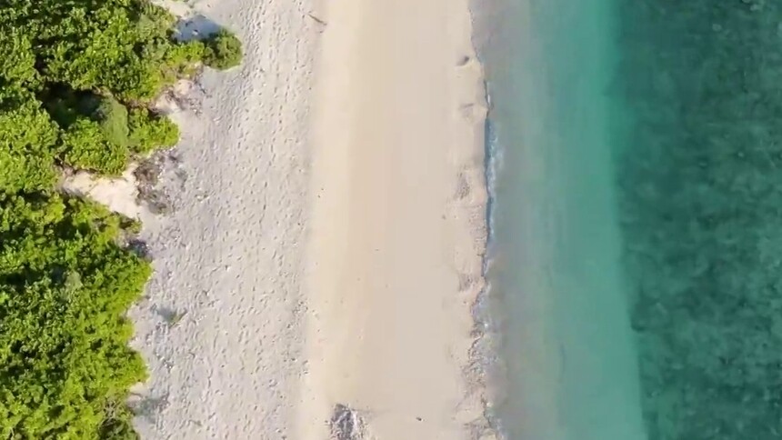 新春走基层｜海南西沙群岛七连屿珊瑚礁生态系统健康状况良好