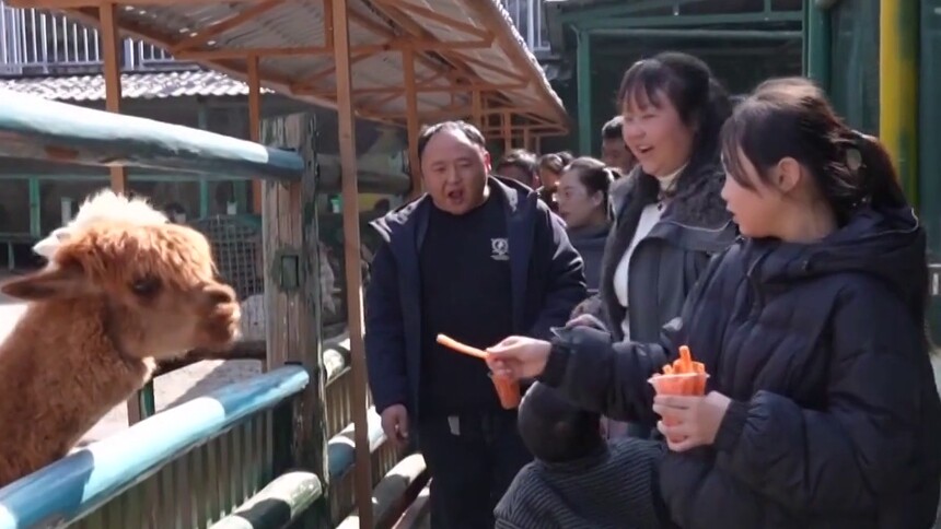 万马奔腾闹新春 看风景赏民俗 亲子游家庭游火爆