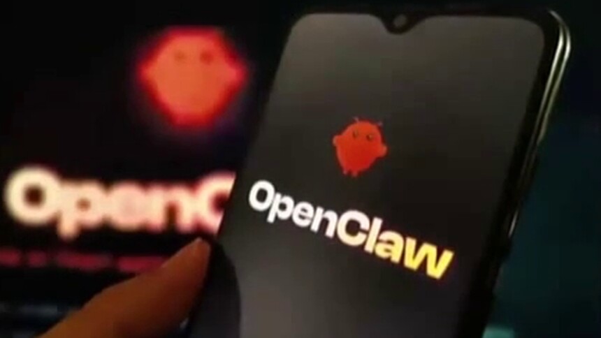 养只“龙虾”能干啥？