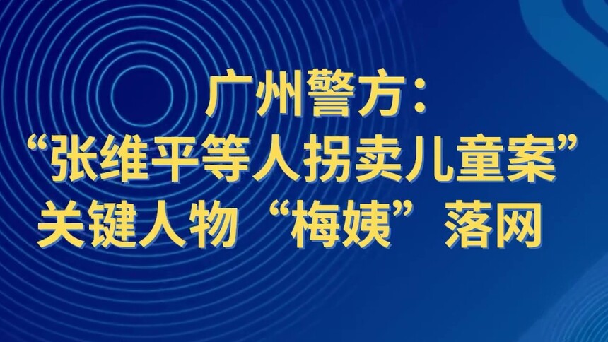 广州警方：“张维平等人拐卖儿童案”关键人物“梅姨”落网
