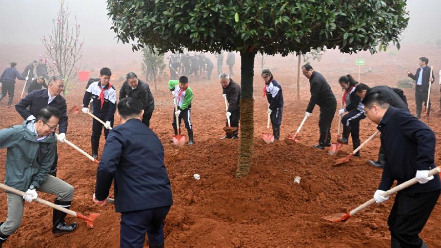 2026年全省集中义务植树活动举行