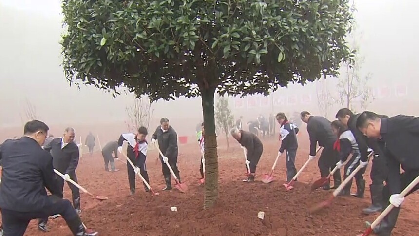 2026年全省集中义务植树活动举行