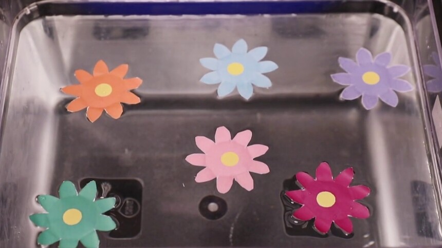 水中纸花的科学原理是怎样的？