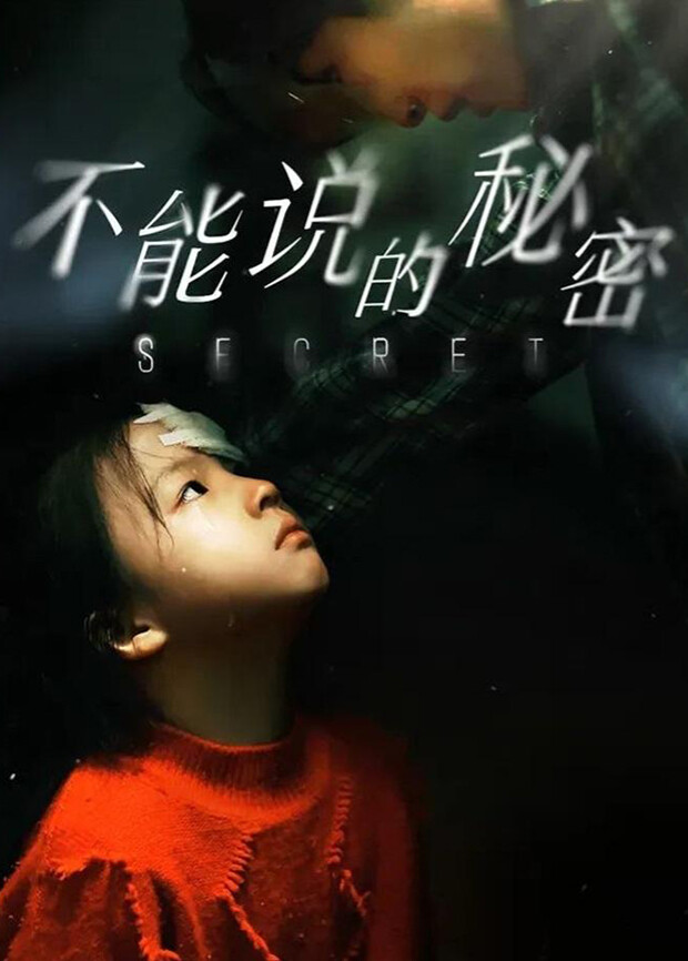 不能说的秘密