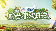 野生家族日记