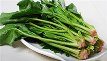 蔬菜篇 菠菜油菜芹菜