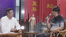 教授养生论策翻汪涵马可
