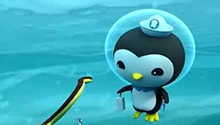 海底小纵队与黄腹海蛇