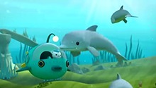 海底小纵队与飞旋海豚