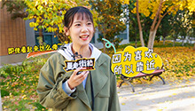你为一个不爱你的人做过什么？