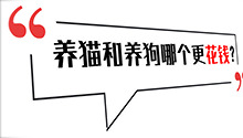 养狗和养猫哪个更花钱？