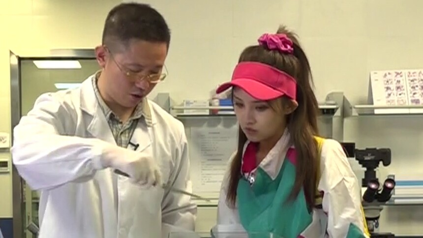 童趣大冒险 2019:星光毒鱼 - 高清视频在线观看 - 芒果tv