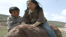 城里孩子体验“农家乐”