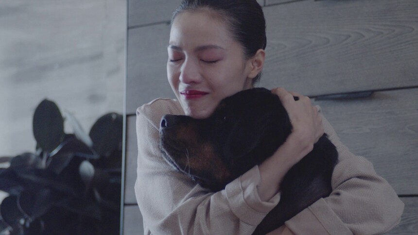 宠爱票房破3亿曝最催泪片段病危狗狗回应钟楚曦谁最爱我