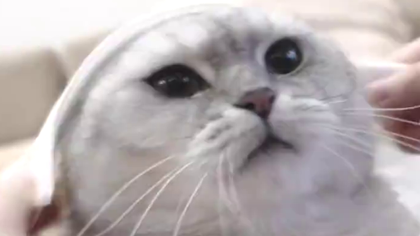 女生的毛巾vs男生的毛巾