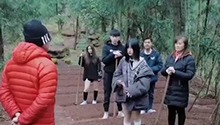 导师野外实践种黄精