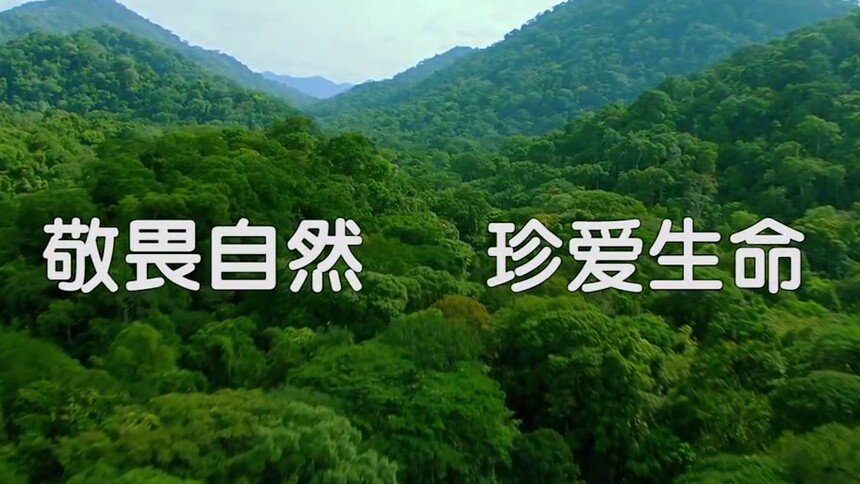 敬畏自然珍爱生命——湘西州广播电视台-新闻-高清视频在线观看-芒果